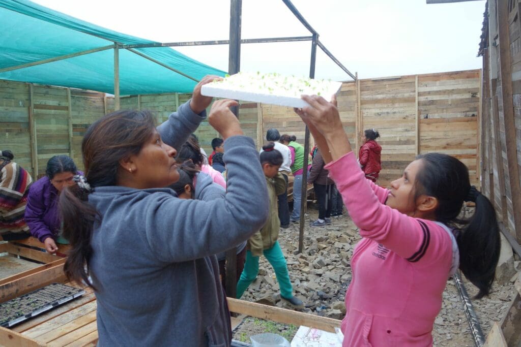 WFP brings hydroponic farming to urban communities