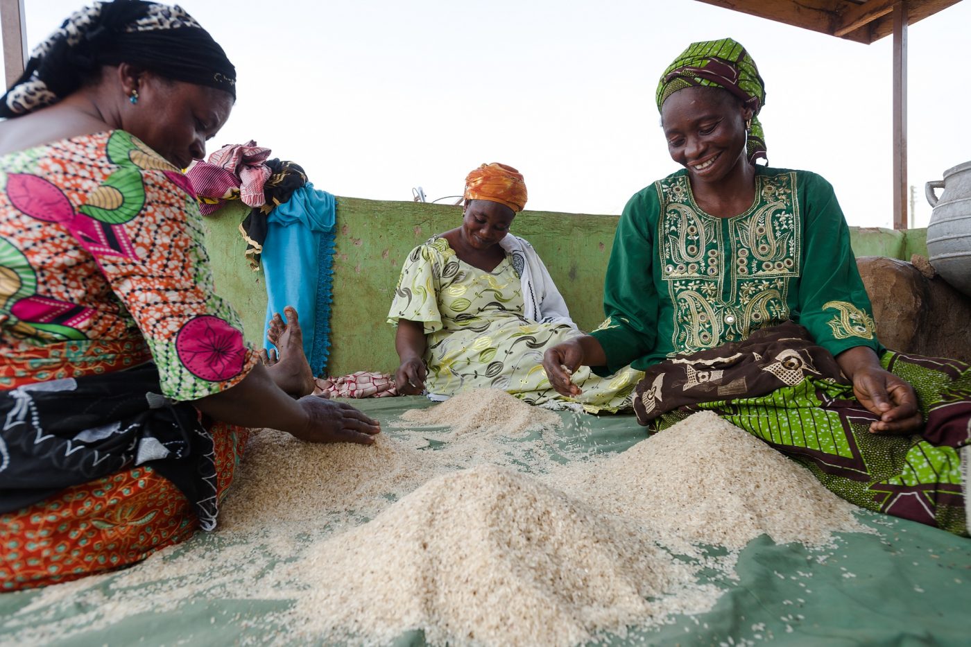 women sorting rice