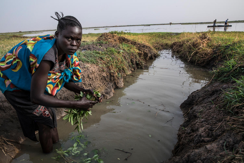 woman cleans vegetables in water