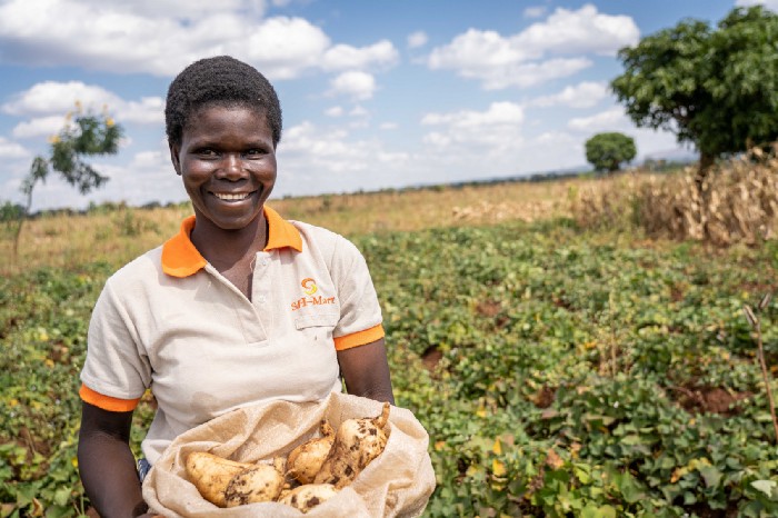 woman in malawi displaying sweet potatoes