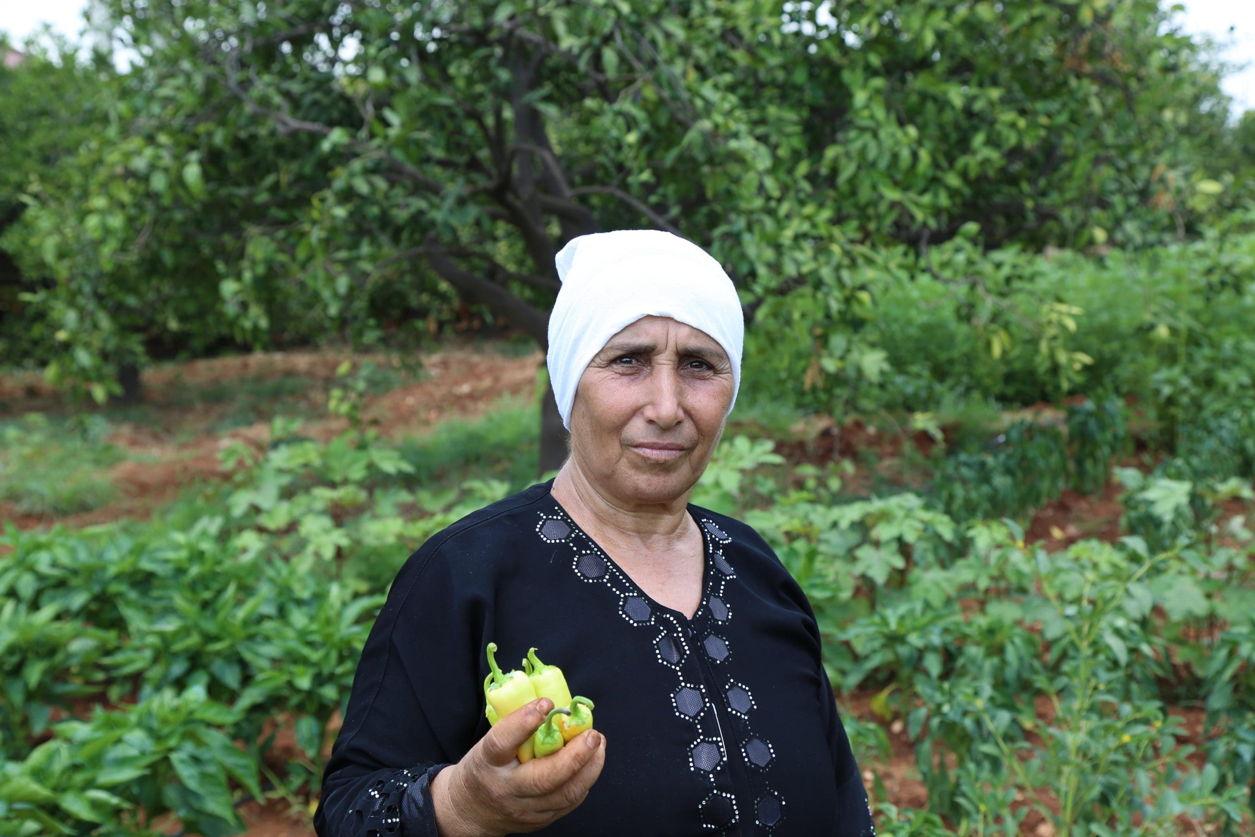 a woman holds a green pepper