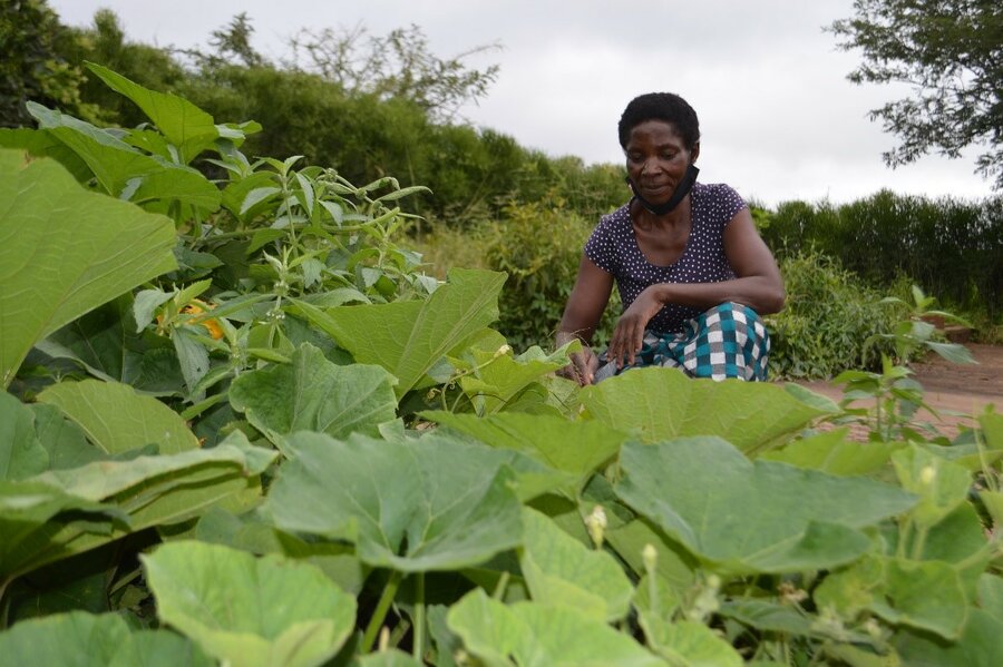 woman gardening in a field