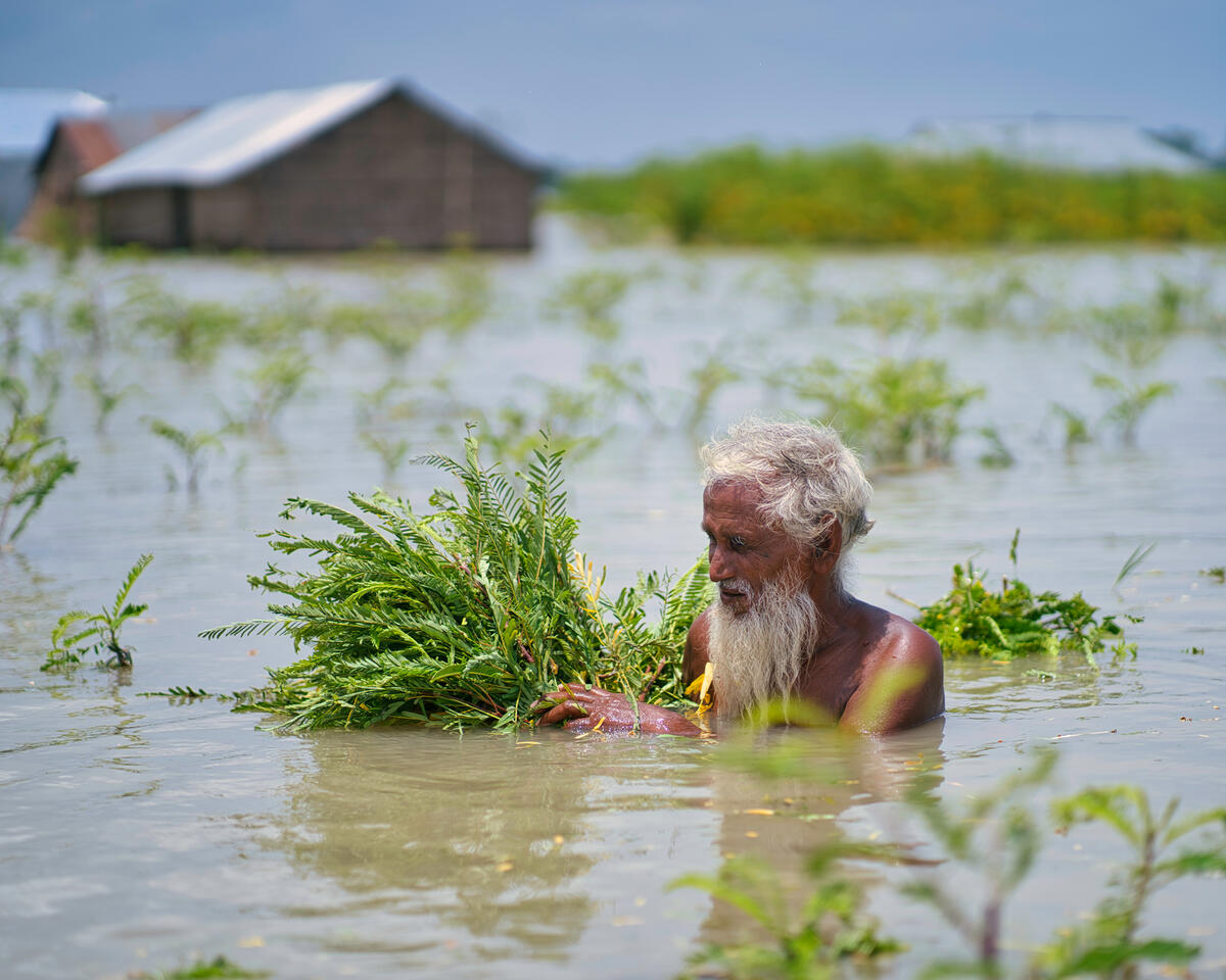 man holding green leaves in flooded waters
