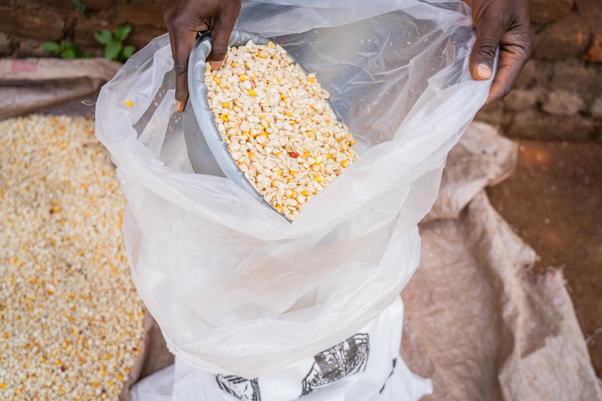 bowl of grain being poured into plastic bag