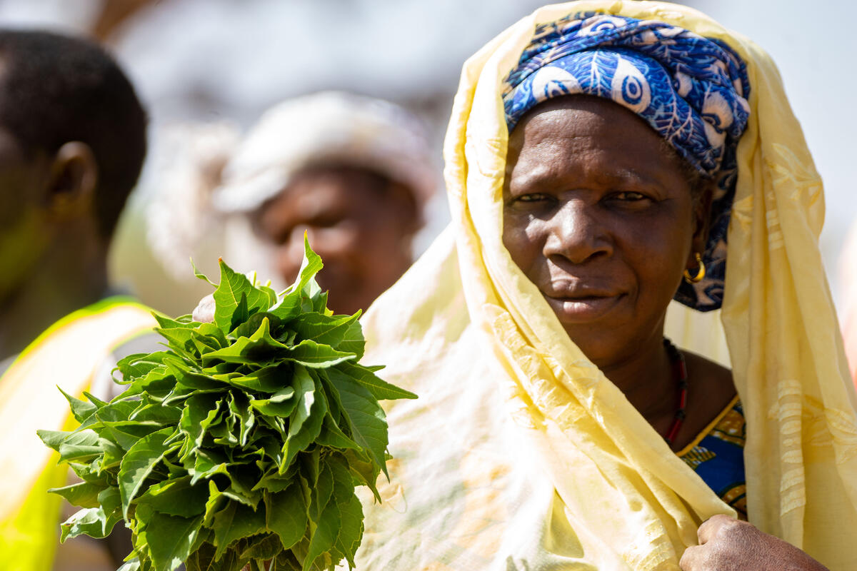 Woman holds handful of baobab tree leaves