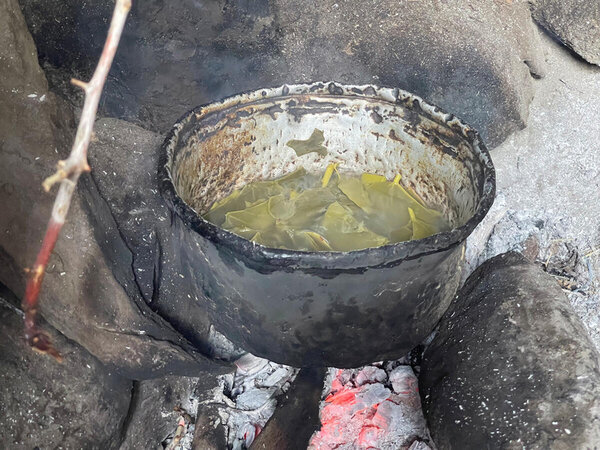 pot of leaves boiling