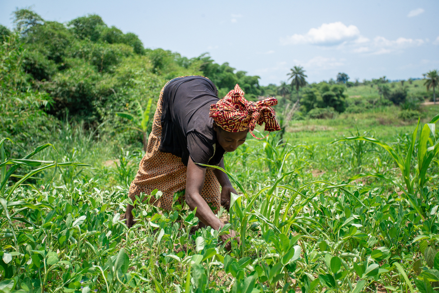 female farmer working in field