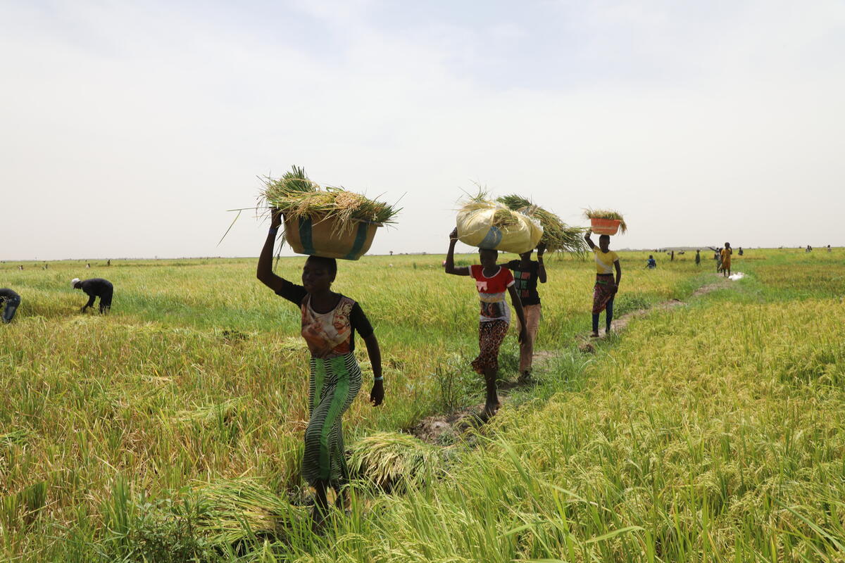women carrying baskets through grassy farmland