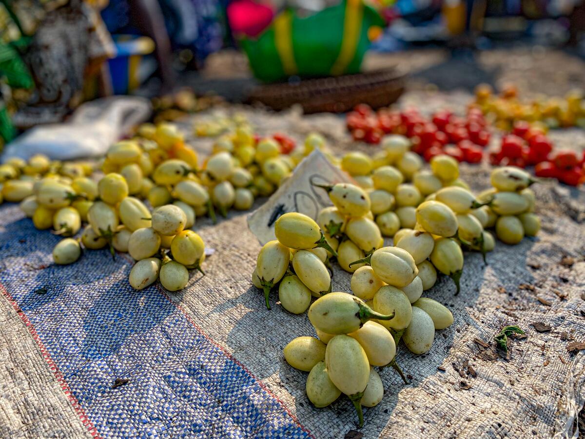 fruits laid out on the floor