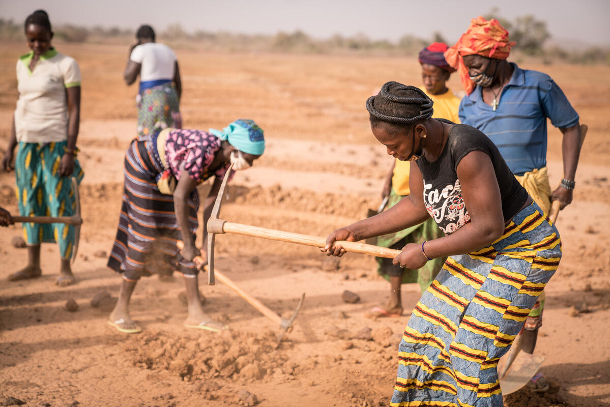 Burkina Faso. Land rehabilitation. Joint effort to increase yields.