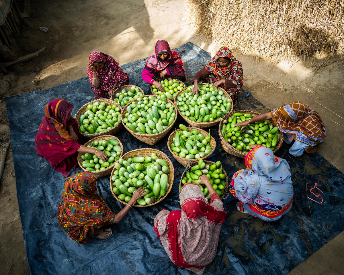Women sorting vegetables