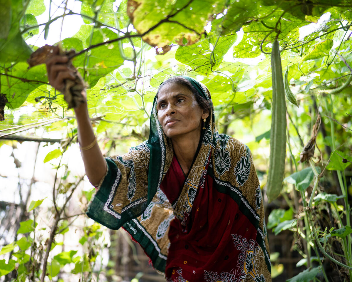 Женщина в климатической программе Бангладеш
