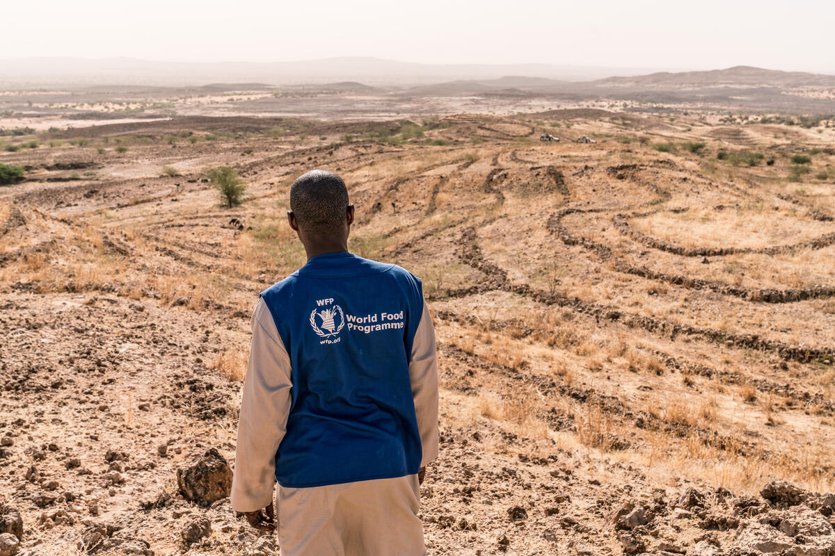 WFP staff in Niger