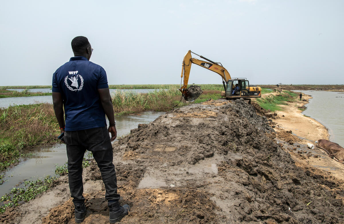 A WFP employees looks out at rehabilitation project