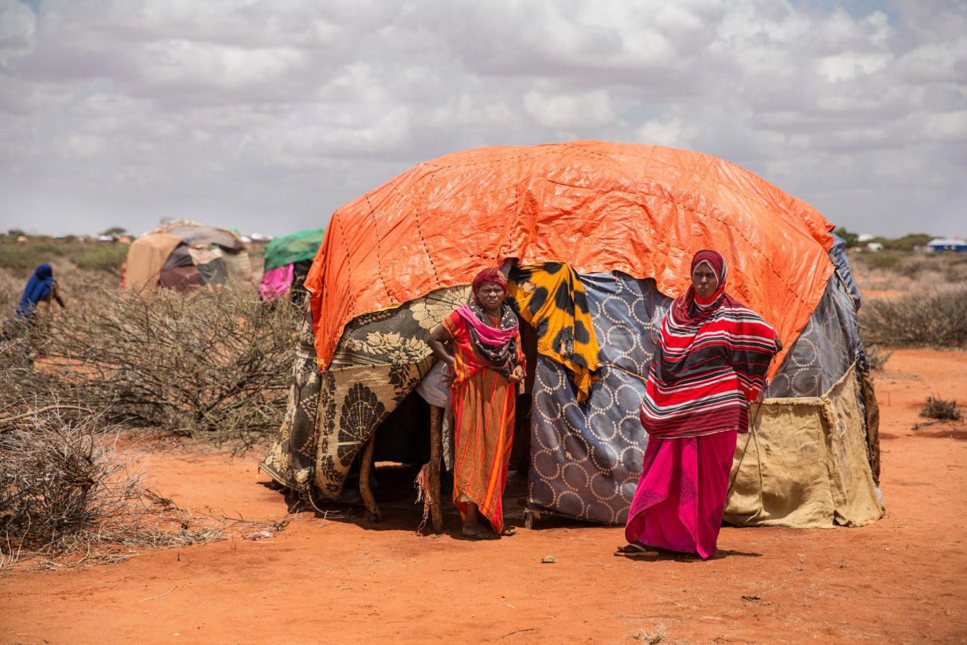 Hunger Could Double in East Africa and the Horn in Months as ...