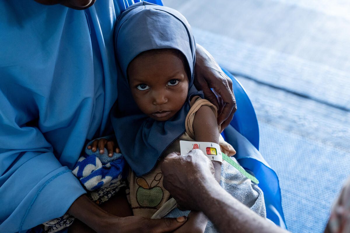 What is Emergency Food Assistance: Essential Guide for Quick Support