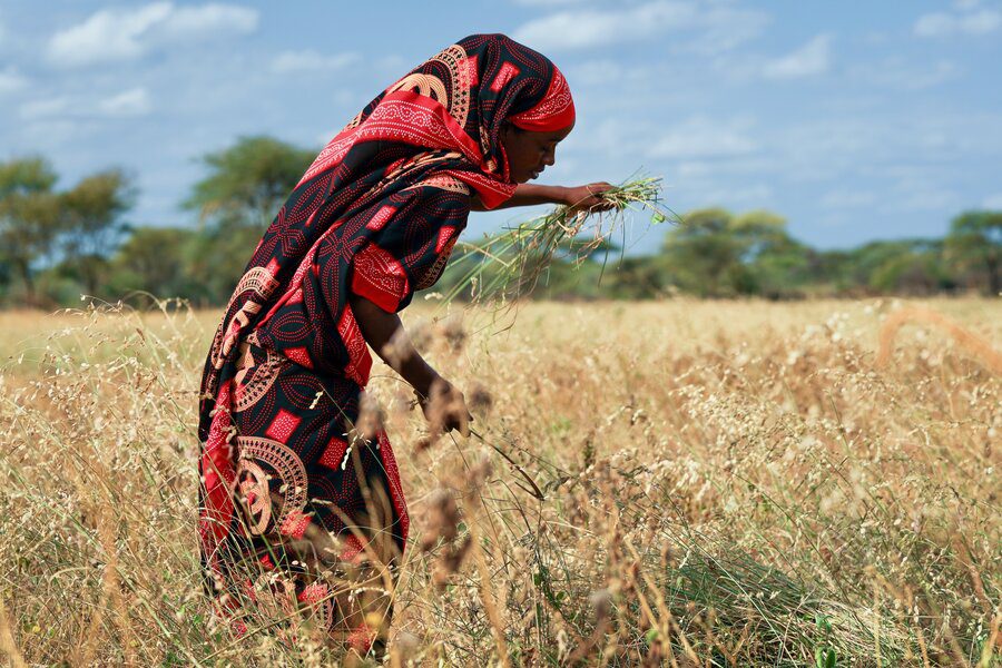 Farmer in Kenya