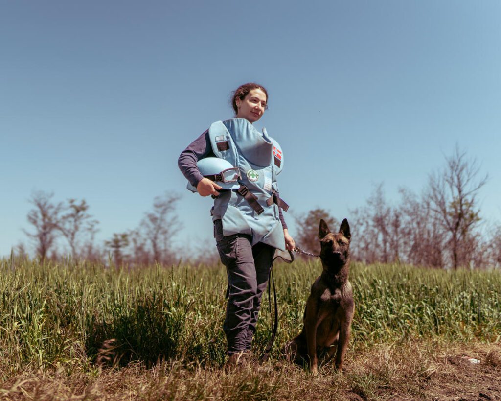 Demining in Ukraine